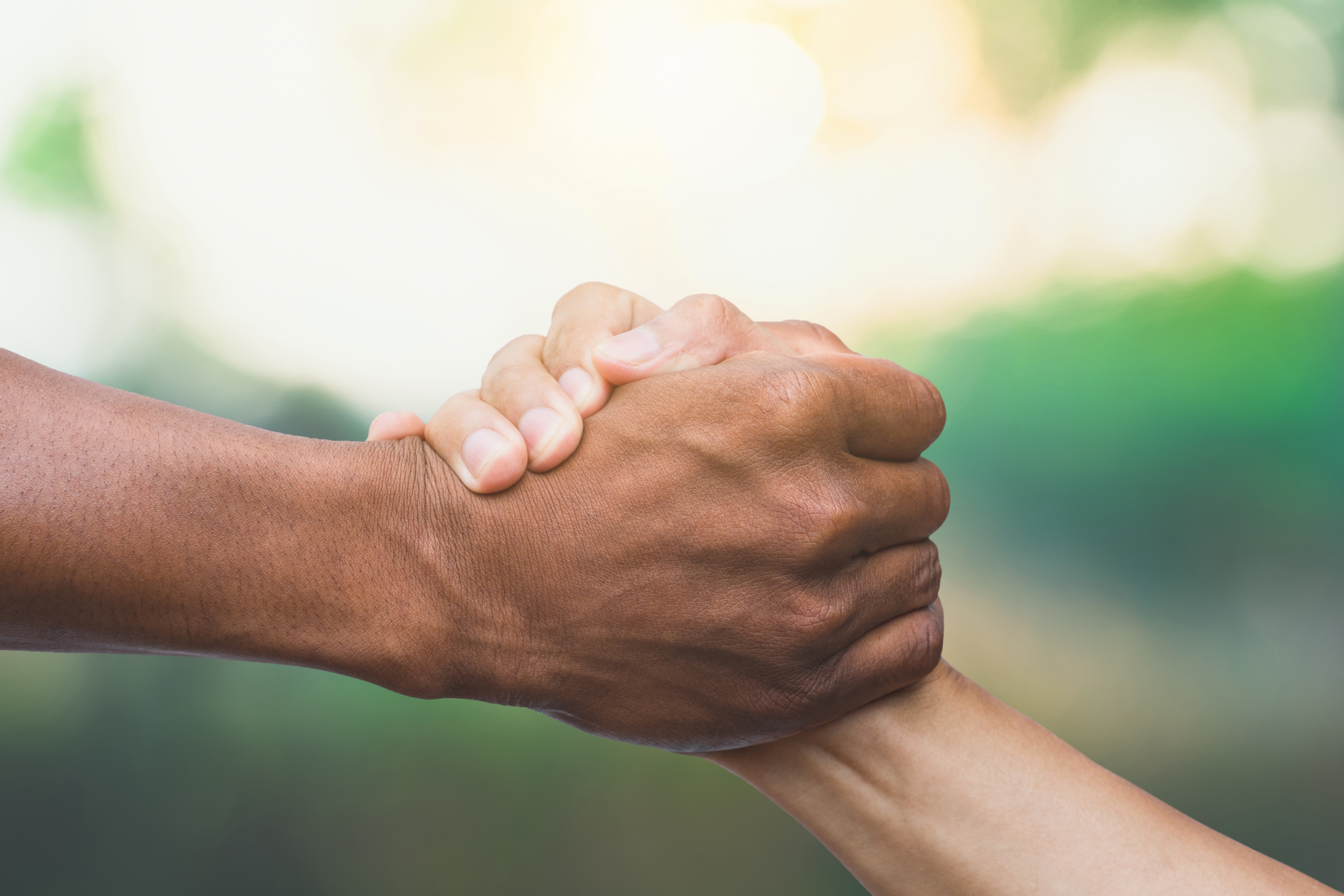 An image of two people shaking hands