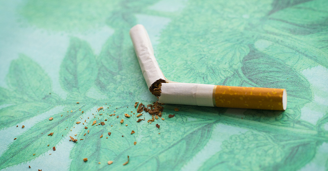 Menthol ban social