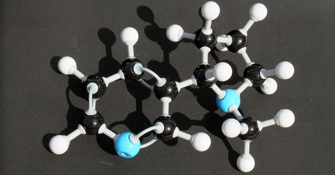 Nicotine Molecule